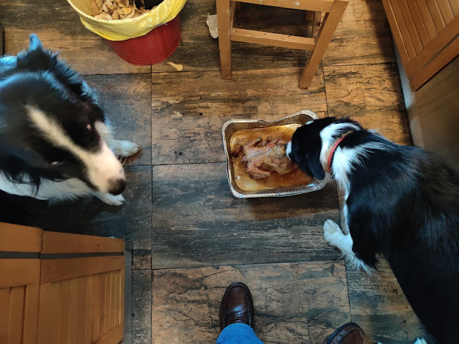 Bar Apolo XIII - Madrid