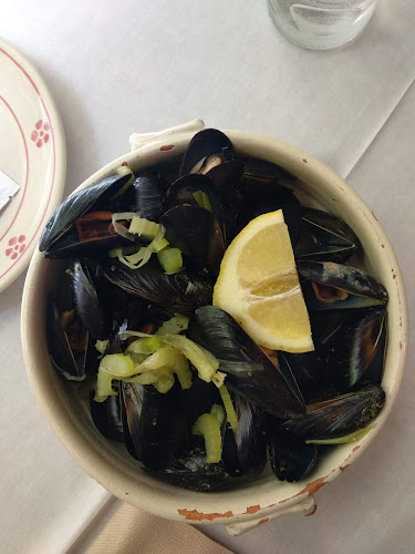 Comentarii opinii despre Gravin