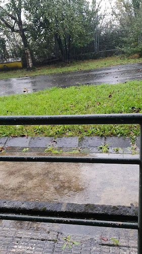 Opinii despre Restaurante Fidel en Sanxenxo în Sanxenxo - Gastronomía y hostelería