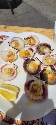 La Sirena Verde Open Times