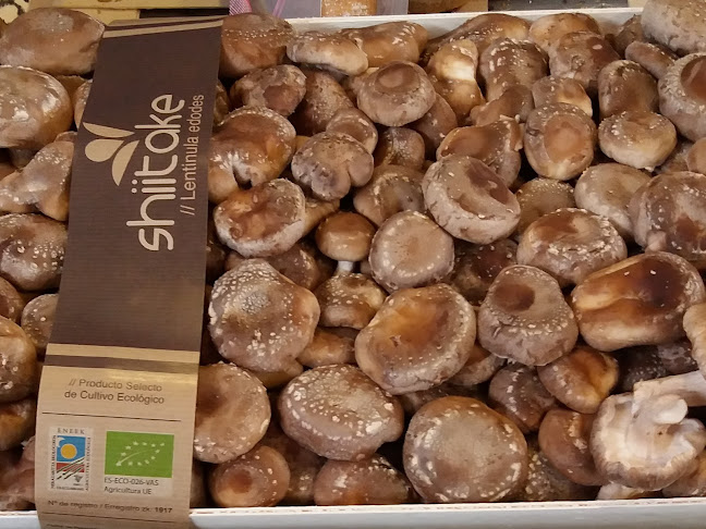 Vidavital - Santurtzi