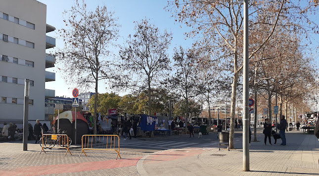 Mercat ambulant dels dissabtes - Vilanova i la Geltrú