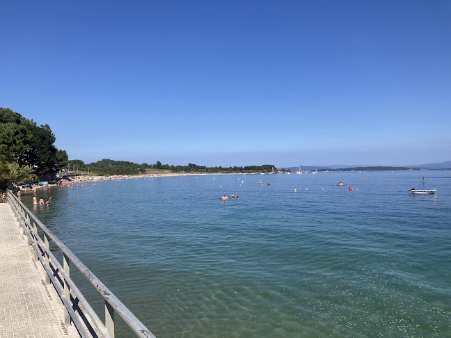 Bar A de Alejandro Open Times