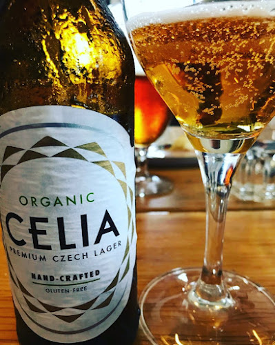 BEBIDAS ONLINE - Gastronomía y hostelería