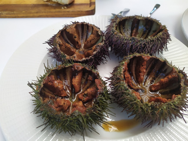 Casa Federico - Gastronomía y hostelería