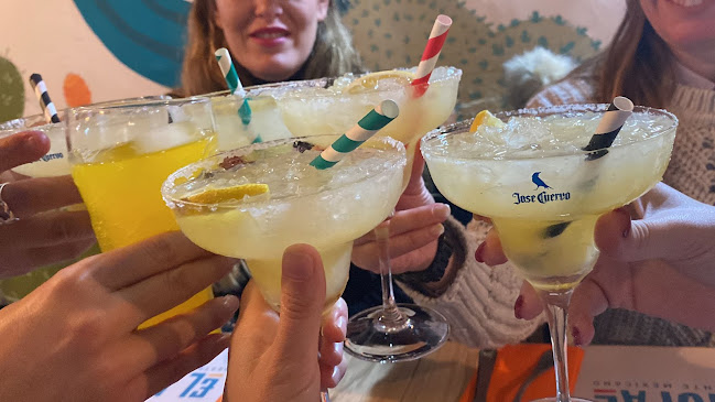 restauranteelnopal.com