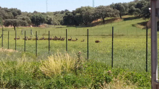 Nueva Venta de Armijo Open Times