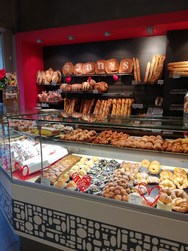 Comentarii opinii despre Enrich