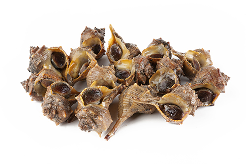 Restaurante Rincón del Puerto - Garrucha