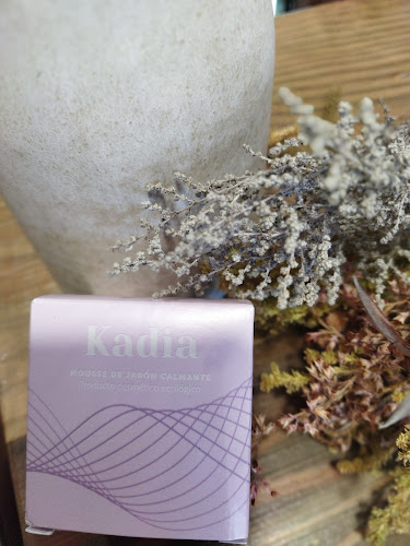 Rúa Telmo Bernárdez, 1, bajo, 36800 Redondela, Pontevedra