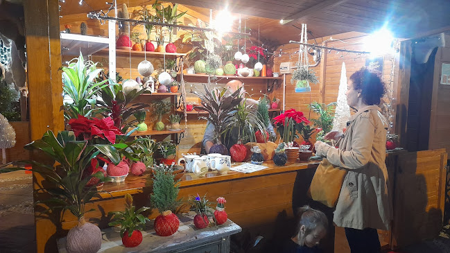 Mercado Navideño - Fuengirola