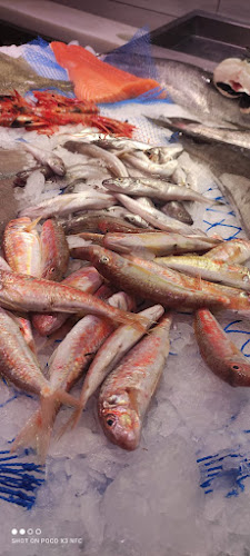 El Peix grup peixos joanmi Open Times