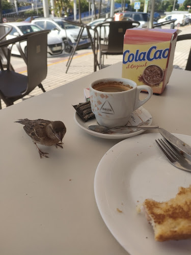 Comments and reviews of Scape Bar Mijas Costa