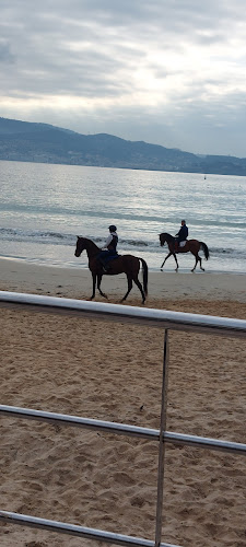 Opinii despre Restaurante Puntoecoma Guía Repsol 2025 în Panxón - Gastronomía y hostelería