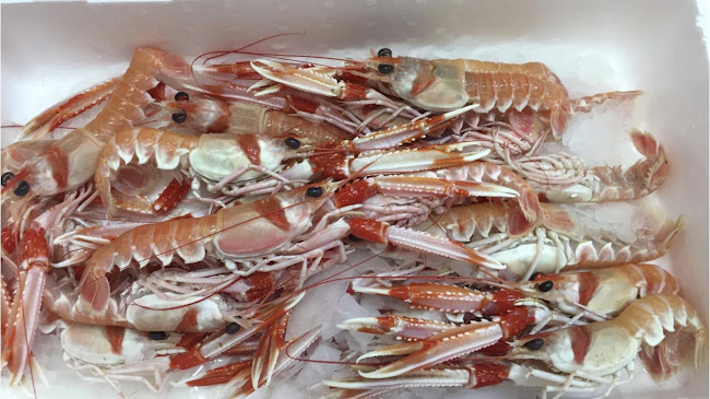 Bar Periqui Chico - Sevilla