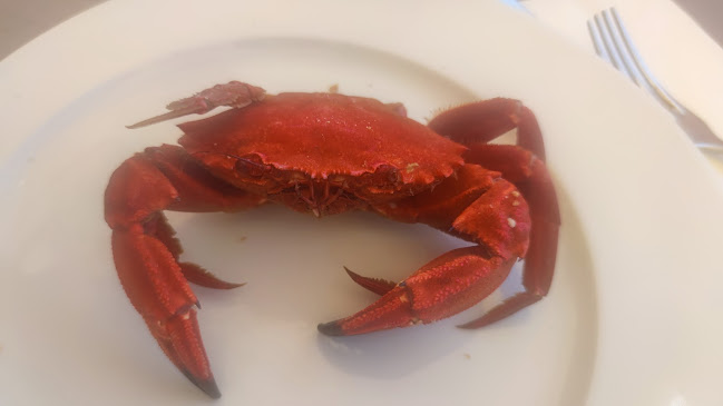 Restaurante Puntoecoma Guía Repsol 2025 - Gastronomía y hostelería