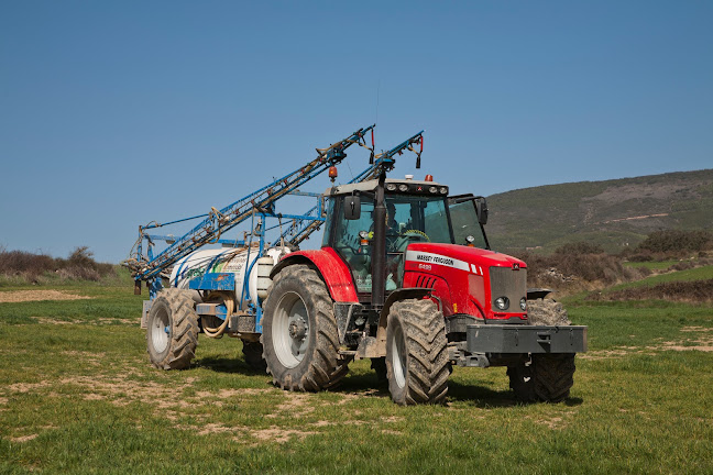 Comentarii opinii despre Bardenas Comercial SL