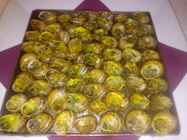 Av. Alcalde Rovira Roure, 9, 25006 Lleida