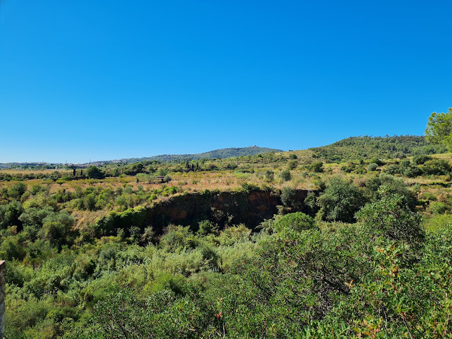 Quatre Espigues - Gastronomía y hostelería