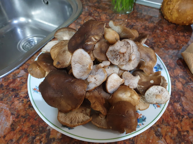 C. Alhambra, 138, 148, 13240 La Solana, Ciudad Real