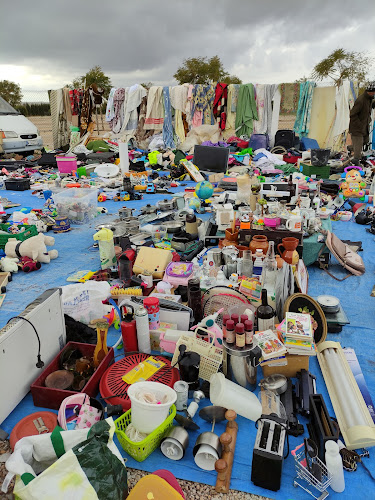 AutoCine. Mercadillo (los Domingos) de San Javier. - Valencia