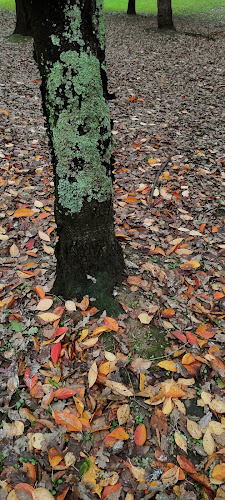 Restaurante Errekaondo - Gastronomía y hostelería