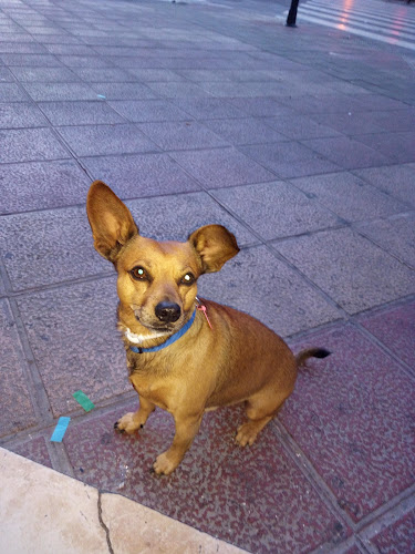 Confiteria Martinez - Murcia