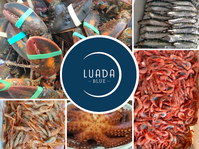 Opinii despre LUADA BLUE Restaurante Gallego în Zaragoza - Gastronomía y hostelería