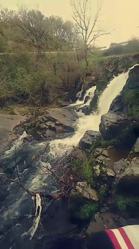 Comentarii opinii despre Restaurante Fidel en Sanxenxo