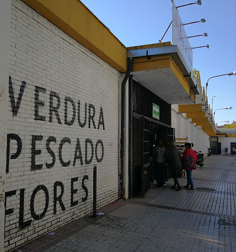 C. Puebla de las Mujeres, s/n, 41013 Sevilla