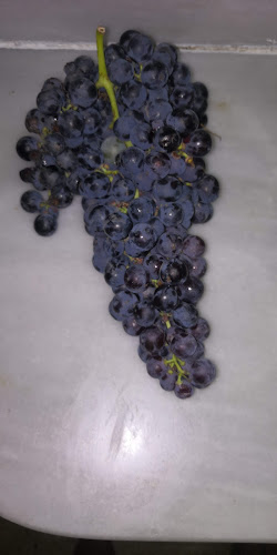 C. del Músic Cabanilles, 29, Jesús, 46017 València, Valencia