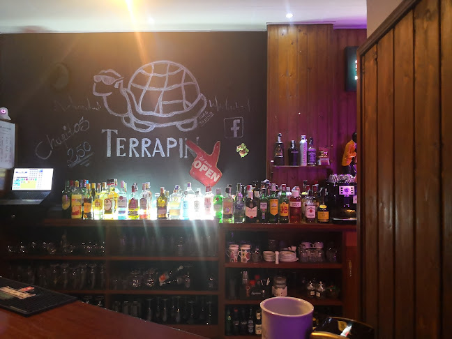 PUB TERRAPIN