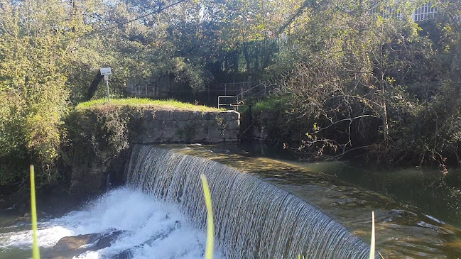 Restaurante Fidel en Sanxenxo - Gastronomía y hostelería