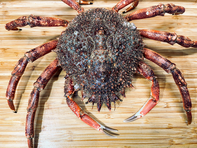 Marisquería Lázaro - Gastronomía y hostelería