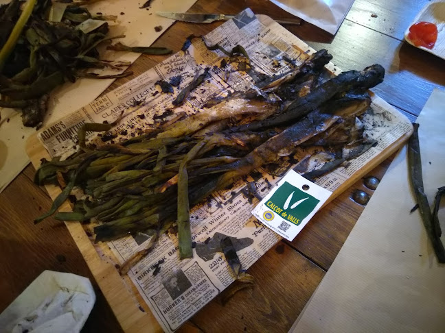 Carrer FOSC, 8, 43142 El Rourell, Tarragona