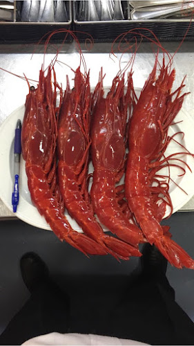 C. Gustavo Bacarisas, 2, 41010 Sevilla