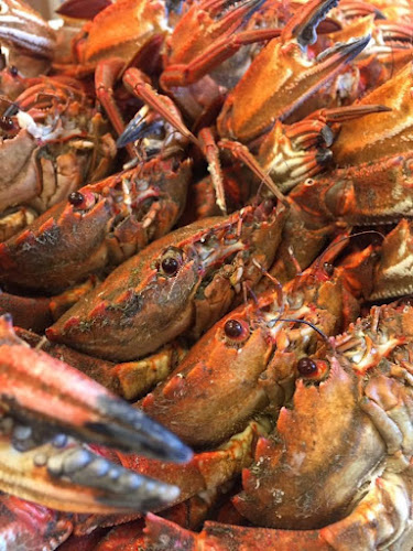 Paseo Dr. Fleming, 1193, Periurbano - Rural, 33203 Gijón, Asturias