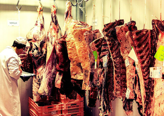 Meson Asador Toro Phone number