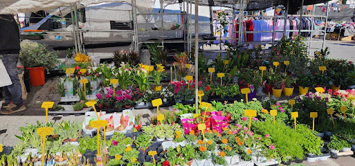 Mercadillo de La Cala del Moral