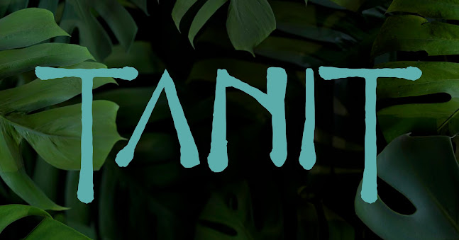 Passeig de Neptú, 58, Poblats Marítims, 46011 València, Valencia