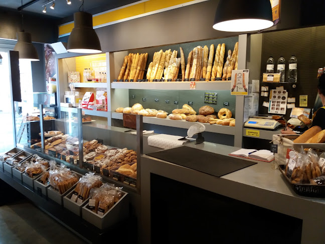 Plaça de Catalunya, 2, 08750 Molins de Rei, Barcelona