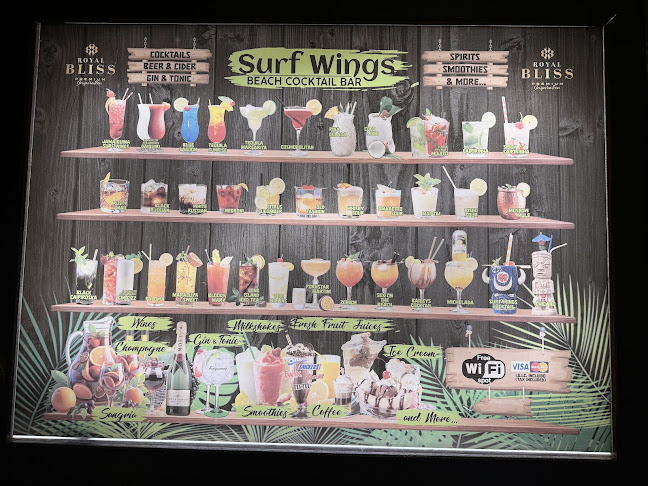 Comentarii opinii despre Surfwings