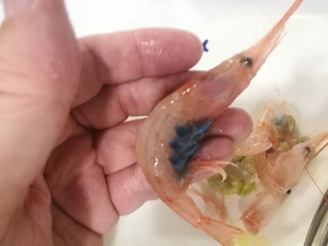 P.º Marítimo, 38, 04630 Garrucha, Almería