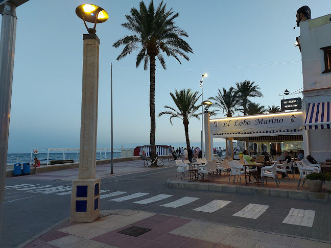 C/ San Vicente, nº 13, 03560 El Campello, Alicante