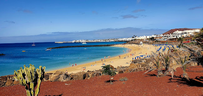 Opinii despre Tirgus în Playa Blanca - Gastronomía y hostelería