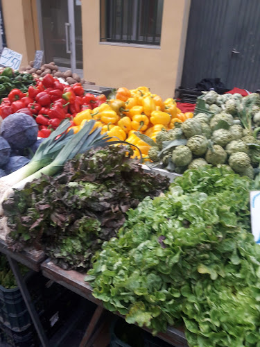 Casa Elena - Gastronomía y hostelería