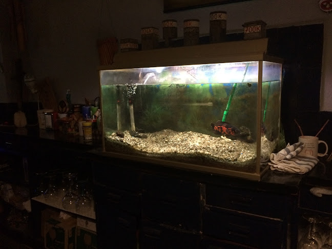 Bar Txutxubis - Bilbao