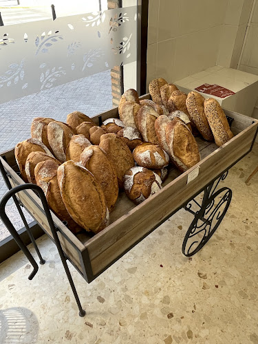 Opinii despre Trigo by Olmos în Alaquàs - Gastronomía y hostelería