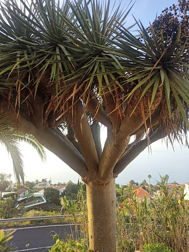 Km 74 - Gastronomía y hostelería