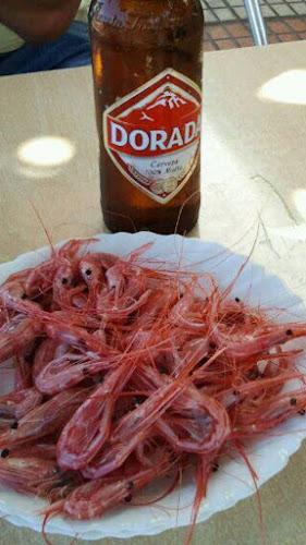 Bar Restaurante Raul Open Times